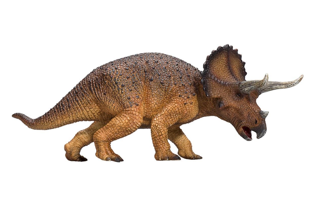 Triceratops - Imagen 1